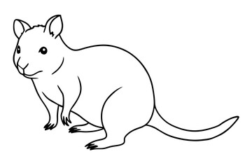 quokka silhouette line art vector illustration with a white background