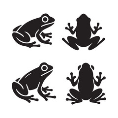frog on a white background