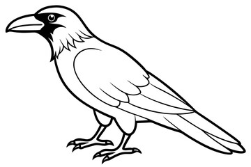 raven silhouette line art vector illustration with a white background
