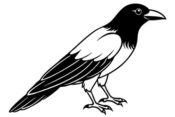 raven silhouette line art vector illustration with a white background