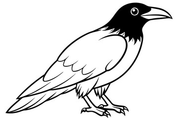 raven silhouette line art vector illustration with a white background