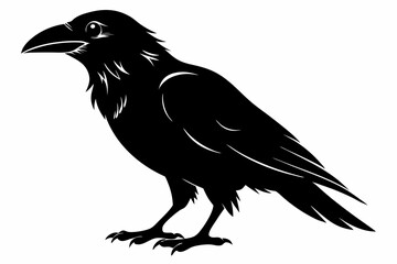 raven silhouette line art vector illustration with a white background