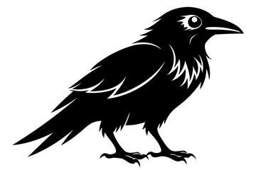Obraz premium raven silhouette line art vector illustration with a white background