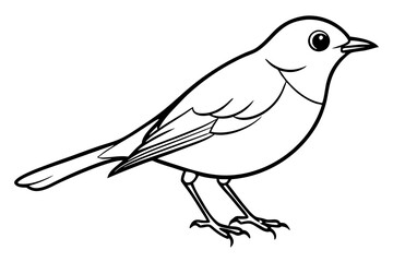 robin silhouette line art vector illustration with a white background
