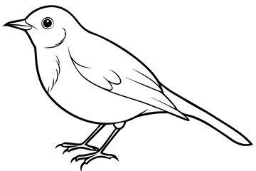 robin silhouette line art vector illustration with a white background