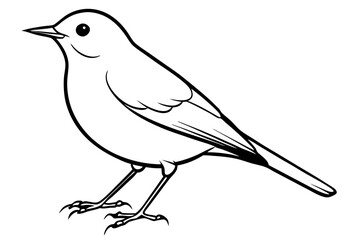 robin silhouette line art vector illustration with a white background