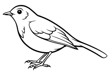 robin silhouette line art vector illustration with a white background