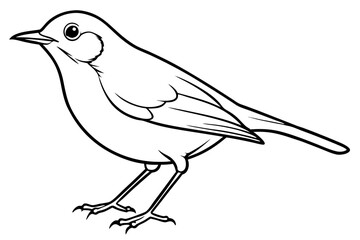 robin silhouette line art vector illustration with a white background