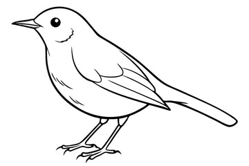 robin silhouette line art vector illustration with a white background