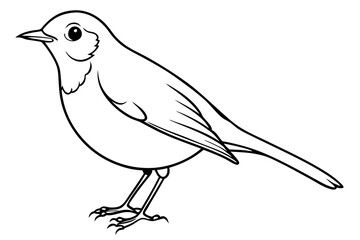 robin silhouette line art vector illustration with a white background