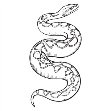 python  Vector