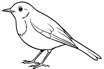 robin silhouette line art vector illustration with a white background