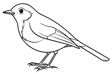 robin silhouette line art vector illustration with a white background