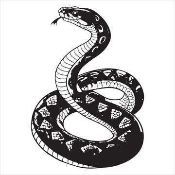 python  Vector