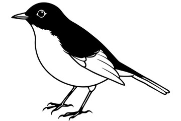 robin silhouette line art vector illustration with a white background