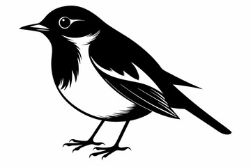 robin silhouette line art vector illustration with a white background