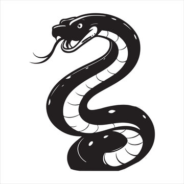 python  Vector