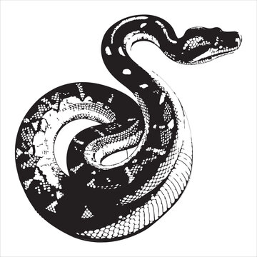 python  Vector