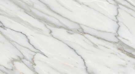 Obraz premium Subtle Veins: A Study in Calacatta Marble AI Generated