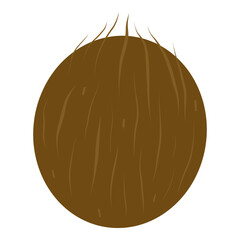 Coconut vector illustration, Coconut fruit.  Tropical fruit icon for cards, designs, invitations, logos