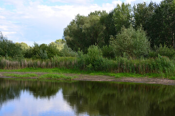 Fototapeta premium A peaceful summer landscape with a calm lake reflecting the sky and surrounding greenery