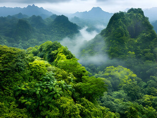 Lush Green Mountains Surrounded by Misty Clouds Creating a Serene Natural Landscape in Tropical Climate