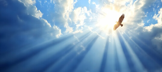 Majestic Eagle Soaring Under Sunlight Through Cumulus Clouds in the Bright Blue Sky During Daytime