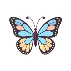 Simple, Iconic 2D Butterfly 