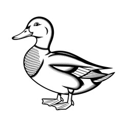 A black and white duck illustration line art of a coloring page