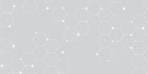 white and grey technology hexagonal abstract background. Abstract gradient hexagon digital technology background. Vector abstract graphic design banner pattern presentation background web template.	
