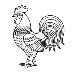A black and white rooster illustration line art of a coloring page