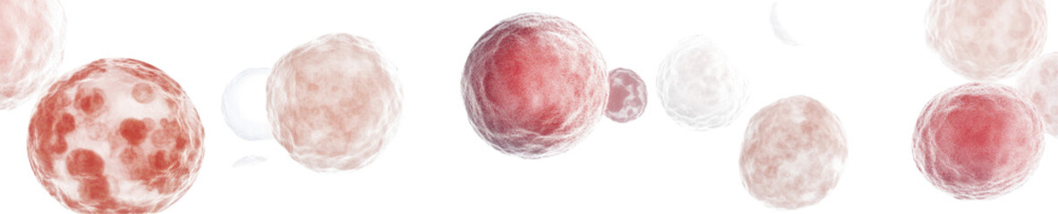 Fototapeta premium Embryonic Stem Cells Visualization on transparent background