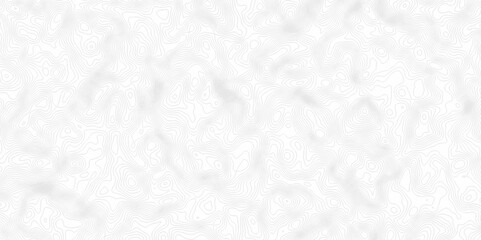 White topography topology vector white background fresh contour map texture. white seamless pattern Abstract background with a wave Topography and geography map grid abstract backdrop.