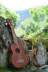 Guitar ukulele in forest, summer natural background. ethnic Musical instrument for Folk music performed. Romantic view. Musical relaxation hobby concept.