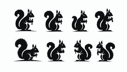 Obraz premium Squirrel Silhouette Vector Collection Of Various Poses Holding A Nut In A Minimalist Style On A White Background For Graphic Design