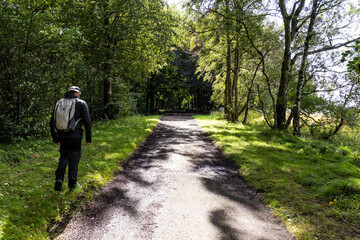 Obraz premium the haunting ruins of Crawford Priory, hidden in the Scottish countryside. This abandoned Gothic castle evokes mystery, decay, and a chilling, ghostly atmosphere lost in time. Explore halloween.