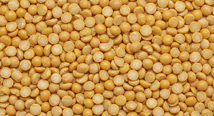 Golden Harvest Abundance AI Generated