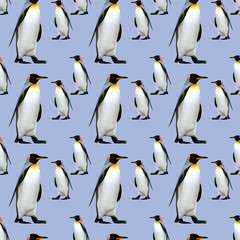 The March Of The Penguins Seamless Vector Pattern Design