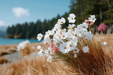White flowers bloom beside a tranquil lake surrounded by trees on a sunny day in nature