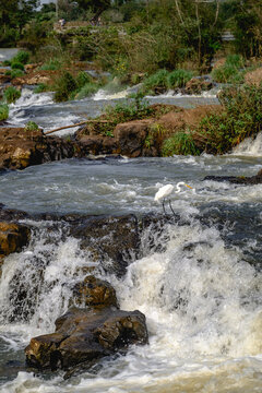 Iguazu waterfalls in overcast weather. High quality photo