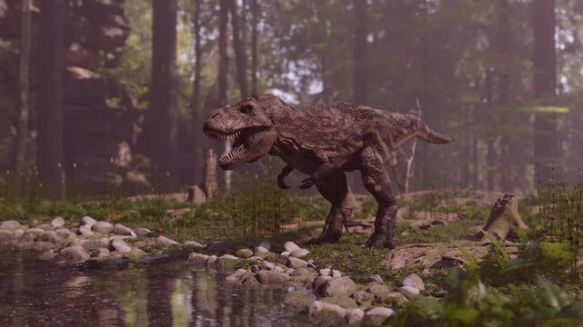 Tyrannosaurus near the forest swamp