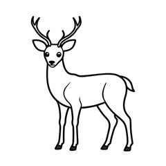 deer line art vector on white background