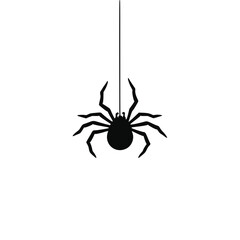 Black spider hanging on a thread against a white background  