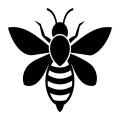 Bee and Flower Vector Illustration with Insects and Nature Elements