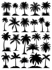 Palm tree silhouette set. Collection of tropical palm trees