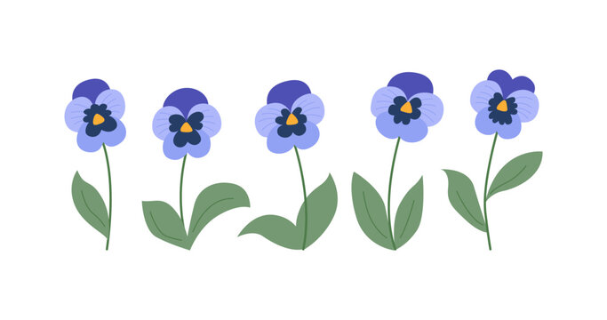 Set of blue pansy flowers and leaves. Botanical blossom vector flat background