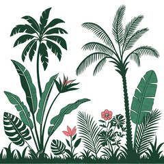 Tropical vintage botanical palm trees, banana tree, green plants floral seamless border white background. vector