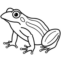 Minimalist Frog Line Art Vector