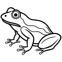 Minimalist Frog Line Art Vector
