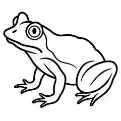 Minimalist Frog Line Art Vector